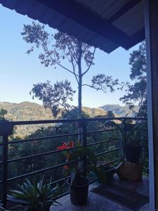a view from the porch of a house with plants at NETHSARA cottage in Ella