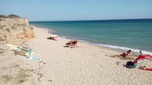 un grupo de personas en una playa cerca del océano en Saros Aslan Apart en Vakıf