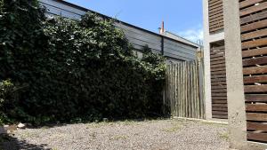 ein großer grüner Busch neben einem Zaun in der Unterkunft CASA RUBÍ - ENCANTADOR APARTAMENTO EN MENDOZA - Cochera Privada y Seguridad Permanente in Guaymallen