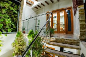 Zahrada ubytování Intiyacu Wasi - Juanjui