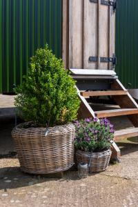 two baskets with plants in them next to a building at Shepherds hut in Kent