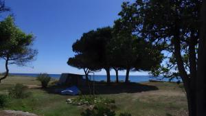 Příroda nedaleko chaty + 2 fotografie