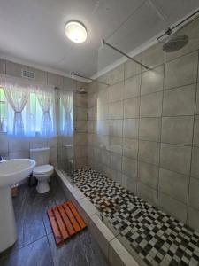 a bathroom with a shower and a toilet and a sink at Hills and Dales Accommodation in Lanseria +53 photos
