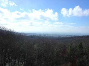 Příroda nedaleko prázdninového domu + 7 fotografií