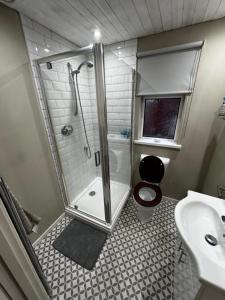 a bathroom with a shower and a toilet and a sink at Central 2 bed Apartment Bangor in Groomsport
