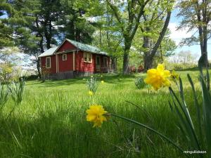 une maison rouge dans un champ d'herbe aux fleurs jaunes dans l'établissement Clove Cottages, à Accord