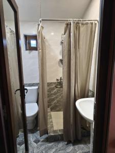 une salle de bains avec toilettes et lavabo dans l'établissement Cottage Sunny Side, à Bakuriani 35 autres photos