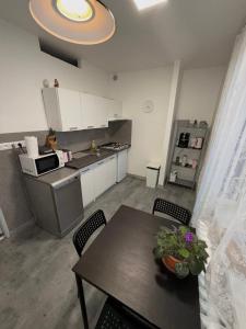 cocina con mesa y sillas y cocina con encimera en Útulný byt v blízkosti centra, en Juliánov