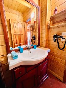 - une salle de bains pourvue d'un lavabo dans une cabine en bois dans l'établissement Chalet la montagne numero 10, à La Joue du Loup
