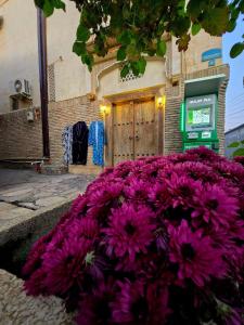 Ein paar lila Blumen vor einem Gebäude in der Unterkunft Chorminor 1 min to Old Town Free Dinner LA Coffee in Buxoro