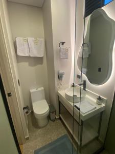 a bathroom with a toilet and a sink and a mirror at Hotel Ryo 74b Piso 7 Vip in Medellín +34 photos