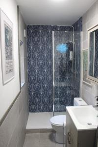 a bathroom with a shower and a toilet and a sink at Blarney Street in Cork +13 photos