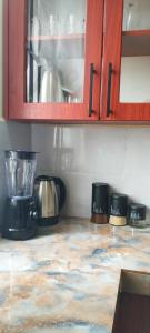 a kitchen with a counter top with a blender at Serenity in Kampala