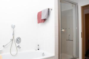 a bathroom with a shower and a sink at Altstadtwohnung mit Salzachblick in Burghausen +23 photos