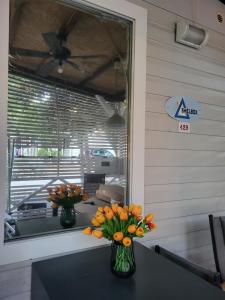 Billede fra billedgalleriet på #429 Status Relax Dezela i Biograd na Moru