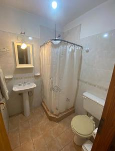 a bathroom with a toilet and a sink and a shower at Dúplex Las Malvinas in El Bolsón