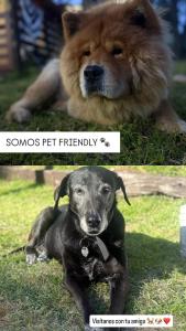 Κατοικίδιο ή κατοικίδια επισκεπτών που μένουν στο Casa de Campo La Maribel