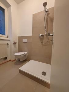 ein Badezimmer mit Toilette und Duschkabine in der Unterkunft Cityappartment am Regensburger Dom in Regensburg