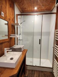 Koupelna v ubytování Appartement chalet