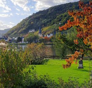 a park with a body of water and a mountain at Ferienwohnung Grüne Boje in Bullay