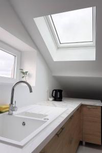 eine Küche mit einem Waschbecken und einem Dachfenster in der Unterkunft DeLuxe Studio Lumineux, Rénové, Parking Gratuit, MULHOUSE CENTRE in Mulhouse