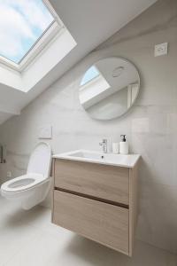 ein Badezimmer mit Toilette, Waschbecken und Spiegel in der Unterkunft DeLuxe Studio Lumineux, Rénové, Parking Gratuit, MULHOUSE CENTRE in Mulhouse + 2 Fotos