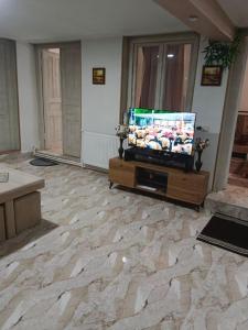 ein Wohnzimmer mit Fernseher auf Steinboden in der Unterkunft Ortachala Valley Retreat in Sighnaghi