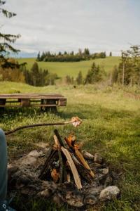 Příroda nedaleko luxury tent