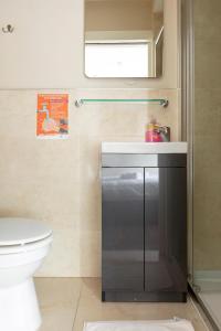 a bathroom with a sink and a toilet at Molloys Apartments in Dublin