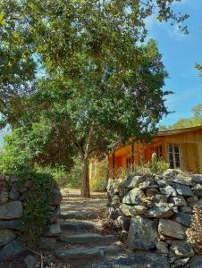 a tree and a stone wall in front of a house at Palmera el Refugio in Olmué
