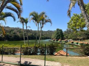 a view of a river with palm trees at Chácara piscina aquecida in Juazeiro do Norte