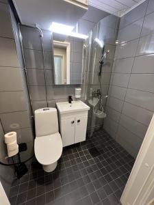 a bathroom with a toilet and a sink and a shower at Inari Camping & Resort in Inari