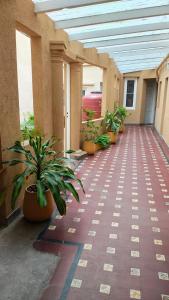 Billede fra billedgalleriet på Hotel Z Los Tilos i Buenos Aires