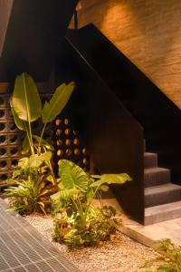 Zahrada ubytování Playce Hotel