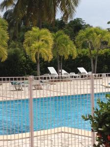 una piscina con palmeras y tumbonas en Studio Papaye - confort et calme près des plages, en Sainte-Anne