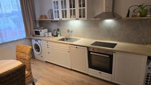 a kitchen with a sink and a washing machine at Apartmán Erika in Michalovce +8 photos
