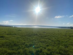 a field of green grass with the sun in the sky at scenic estuary way home in Labasheeda