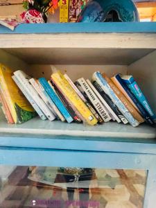 Knihovna v bed and breakfast