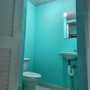 ein Badezimmer mit Toilette und Waschbecken in der Unterkunft Colibriest Bed & Breakfast in Intibucá