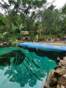 einen Pool mit Bäumen im Hintergrund in der Unterkunft Passeio Bom in Juquei