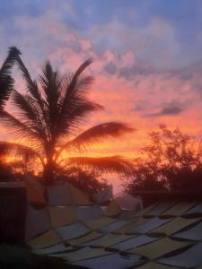 ein Sonnenuntergang mit einer Palme und einem Regenschirm in der Unterkunft Passeio Bom in Juquei