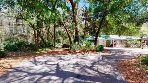 een met bomen omzoomde straat met veel bomen bij A Hidde Gem Duplex in Jekyll Island