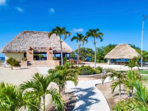 - un complexe sur la plage avec des palmiers dans l'établissement Kanu Private Island Belize, à Placencia