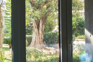 Κήπος έξω από το Royal Rooms Portici