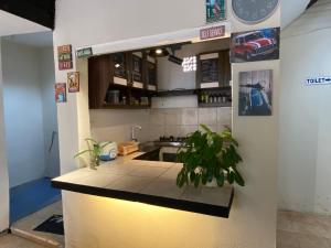 d'une cuisine avec un comptoir et une usine. dans l'établissement La Via Living, à Sukobumi