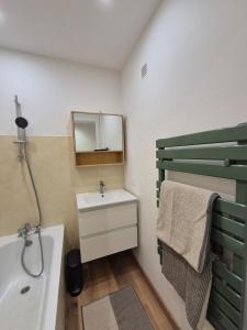 滨海萨纳里Cozy studio proche plages et gare的浴室里有洗手池和镜子