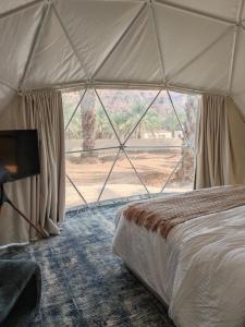 um quarto com uma cama e uma janela grande em نيوم العلا em Al Ula