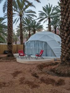 duas cadeiras vermelhas e uma tenda em frente a palmeiras em نيوم العلا em Al Ula mais 5 fotografias