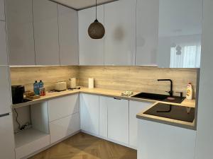 Kuchyň nebo kuchyňský kout v ubytování Kamence apartment