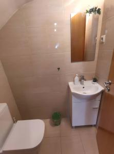 ein weißes Badezimmer mit Toilette und Waschbecken in der Unterkunft Tour House in Pedrouços